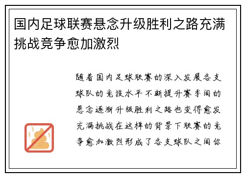 国内足球联赛悬念升级胜利之路充满挑战竞争愈加激烈