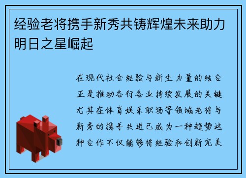 经验老将携手新秀共铸辉煌未来助力明日之星崛起